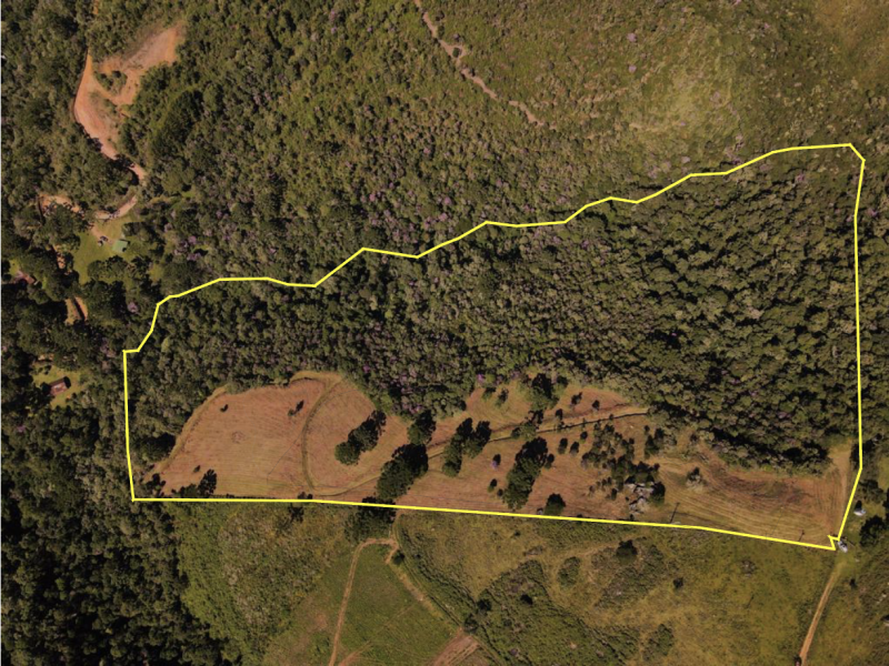 Terreno Venda Sertão do Cantagalo - Gonçalves MG